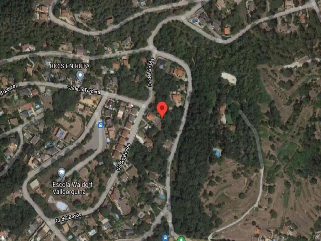 Vallgorguina