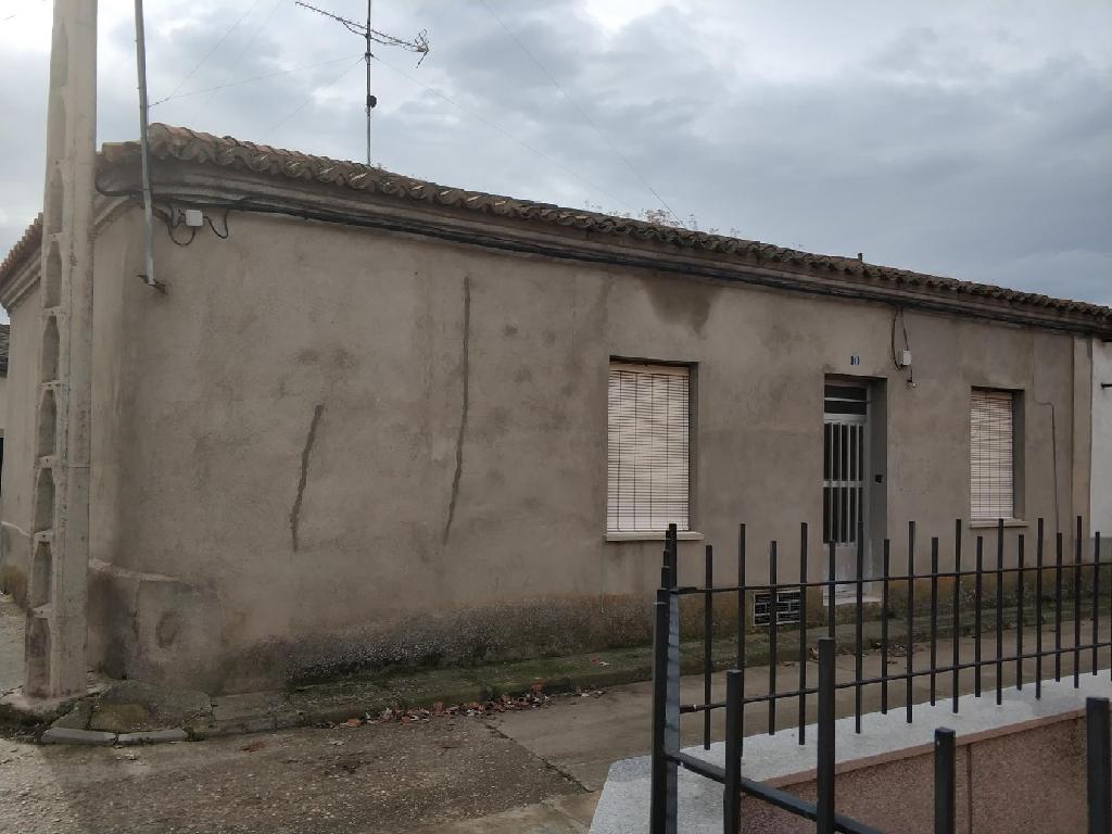 Cantaracillo