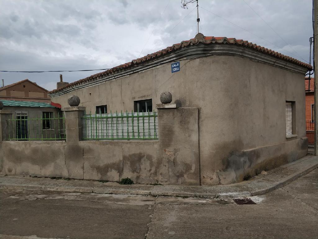 Cantaracillo