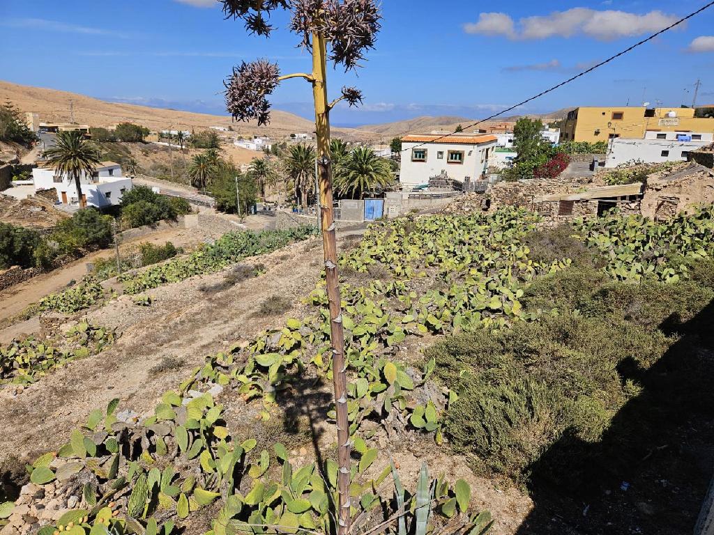 Betancuria