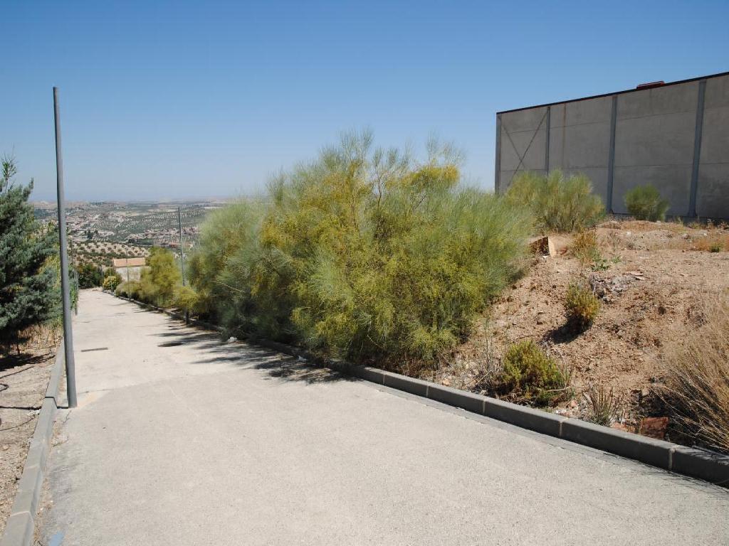 La Guardia De Jaen