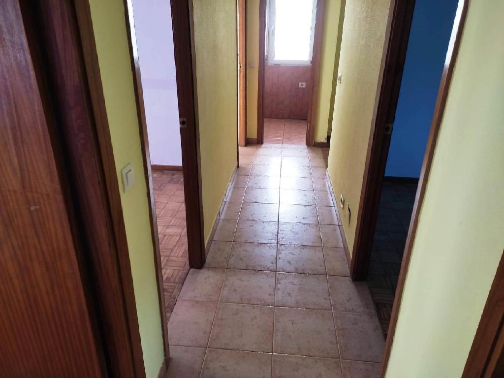 Piso-Boiro-33000584