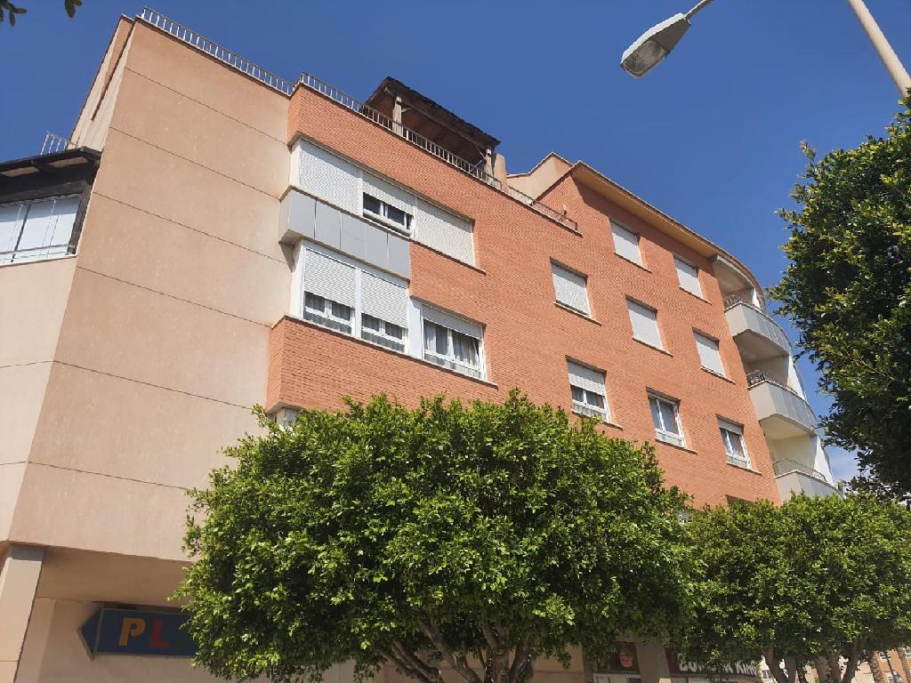 CAMPIÑA (El Ejido)