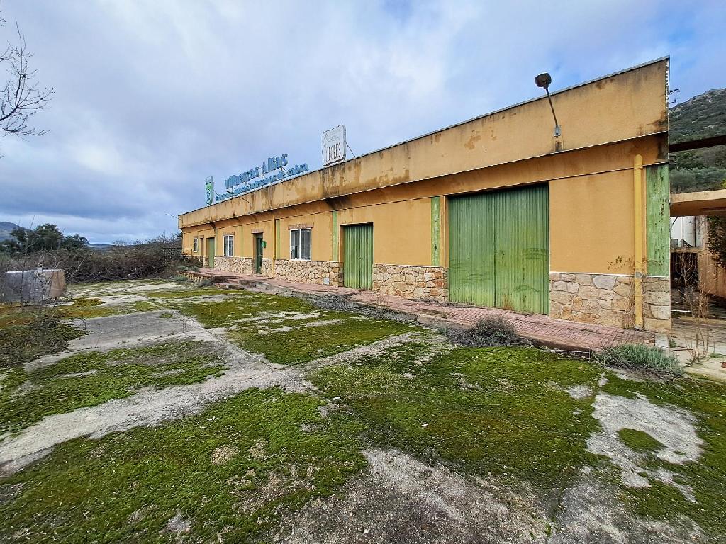 Cabañas Del Castillo
