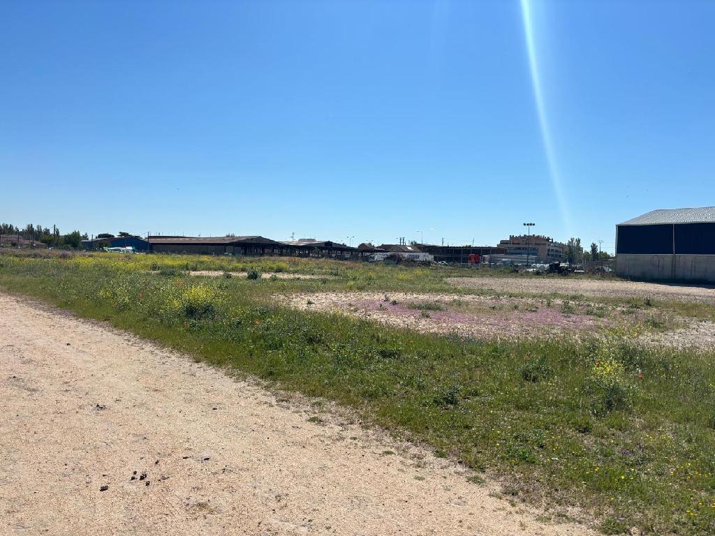 Medina Del Campo