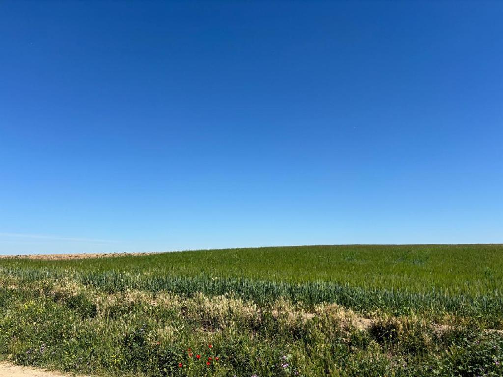 Medina Del Campo
