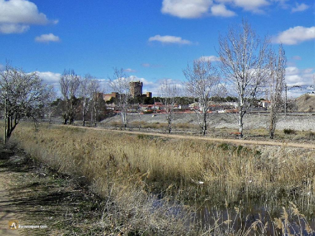 Medina Del Campo