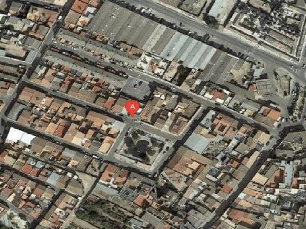 GUADIAMAR 21 (Olivares)