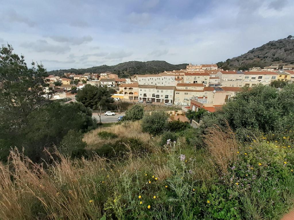 Suelo situado en Roda de Ber&agrave; (Roda De Bara)