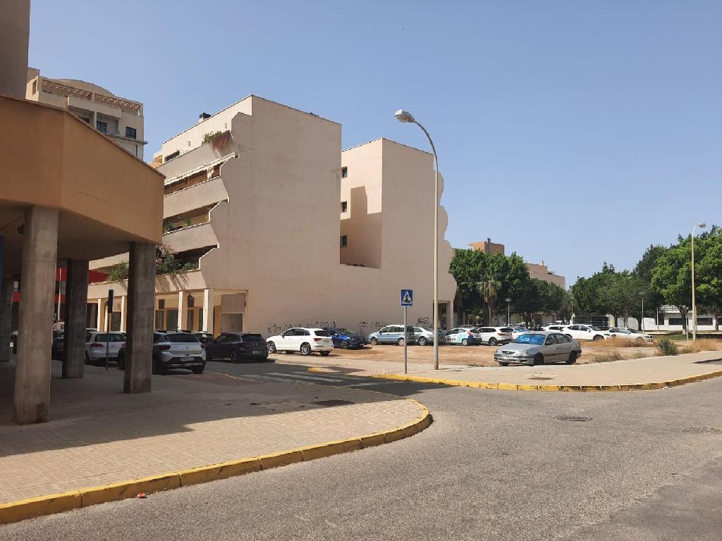 CAMPIÑA (El Ejido)