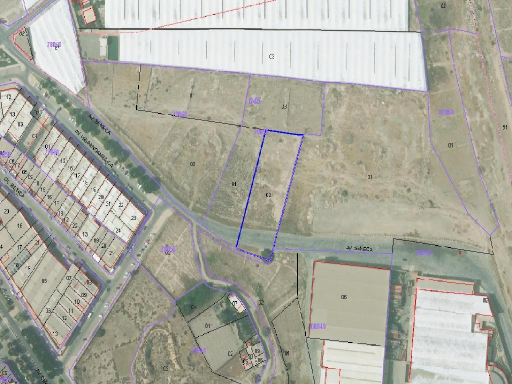 PODEPROM, S.A. FINCA 47147 (El Ejido)