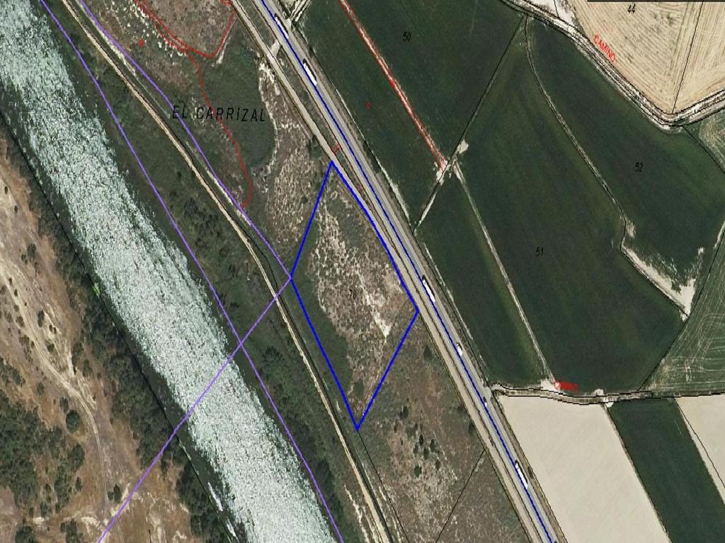 SUELO SITUADO EN OSERA DE EBRO (Osera De Ebro)