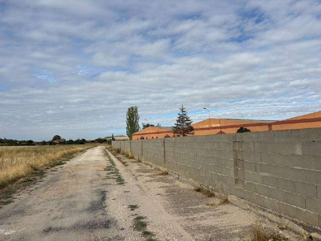 Tudela De Duero