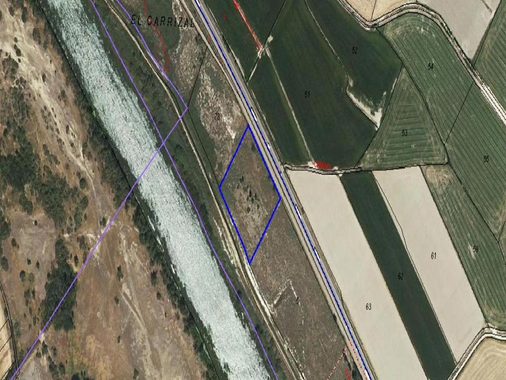 SUELO SITUADO EN OSERA DE EBRO (Osera De Ebro)