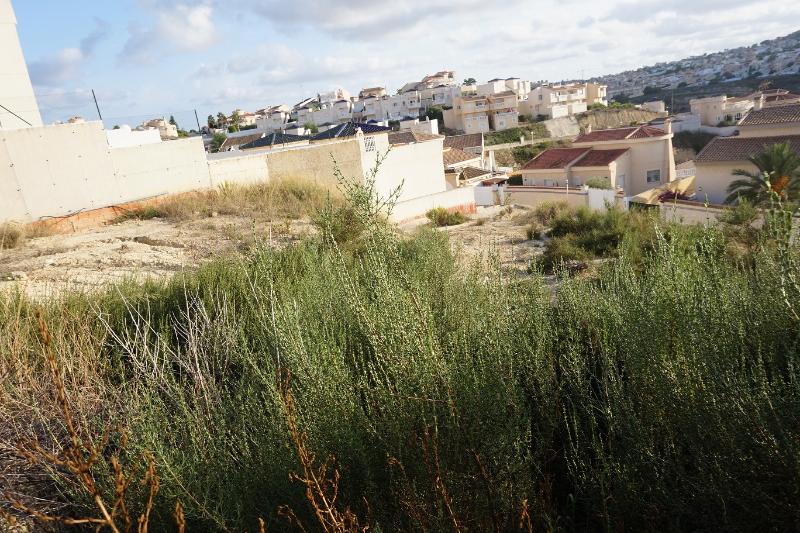 CIUDAD QUESADA II (SE/1) FINALISTA SECTOR CIUDAD QUESADA 2 P (Rojales)