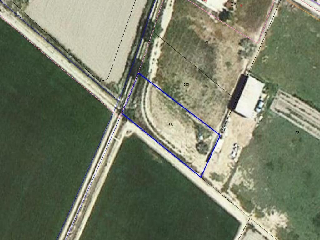 Sant Jaume Denveja