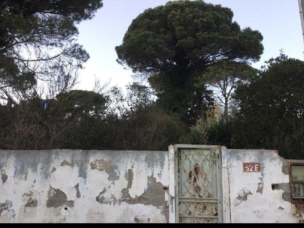 Macanet De La Selva