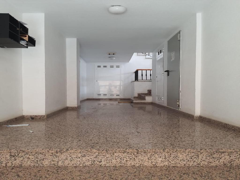 El Ejido