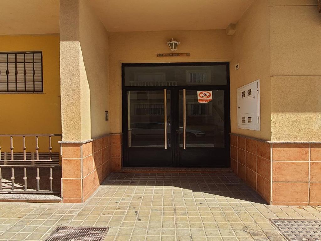El Ejido