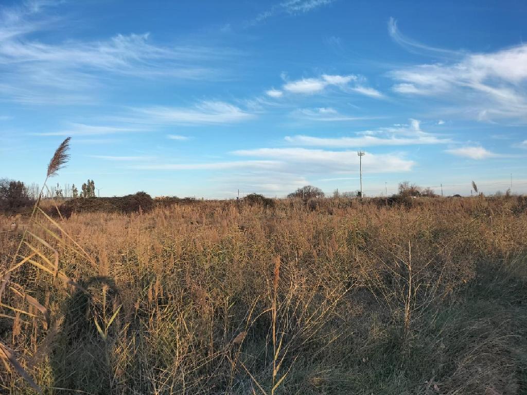 LA SENARA Pol&iacute;gono 504 Parcelas 27 (Villamuriel De Cerrato)