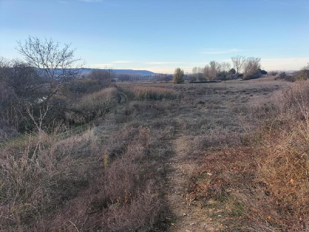 LA SENARA Pol&iacute;gono 504 Parcelas 27 (Villamuriel De Cerrato)