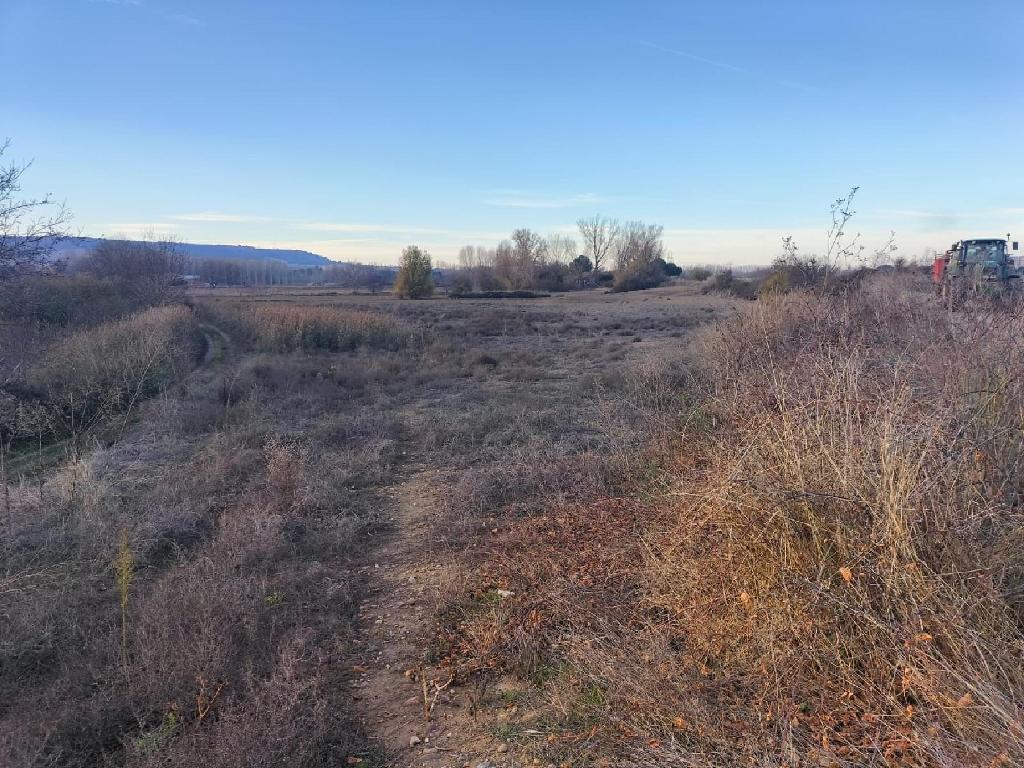 LA SENARA Pol&iacute;gono 504 Parcelas 27 (Villamuriel De Cerrato)