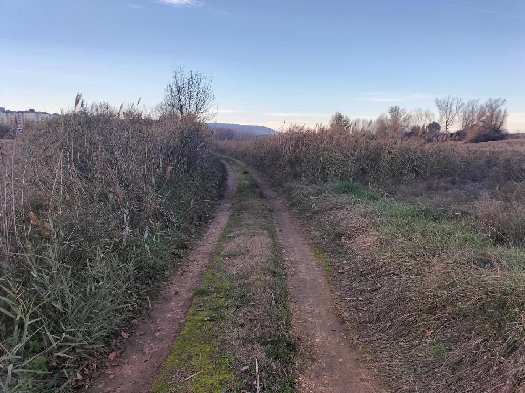 LA SENARA Pol&iacute;gono 504 Parcelas 27 (Villamuriel De Cerrato)