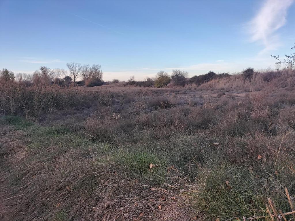 LA SENARA Pol&iacute;gono 504 Parcelas 27 (Villamuriel De Cerrato)