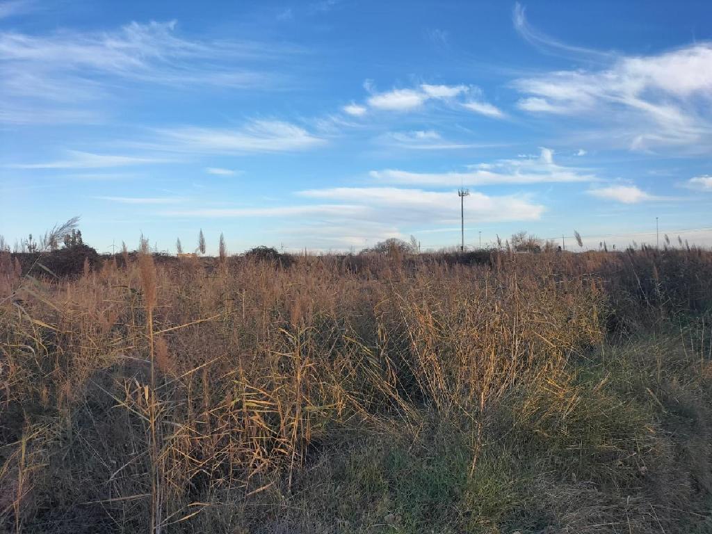 LA SENARA Pol&iacute;gono 504 Parcelas 27 (Villamuriel De Cerrato)