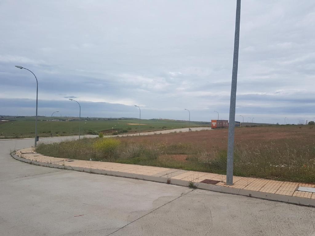 Do&ntilde;inos De Salamanca