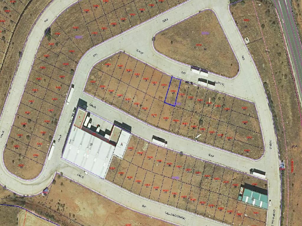 Do&ntilde;inos De Salamanca