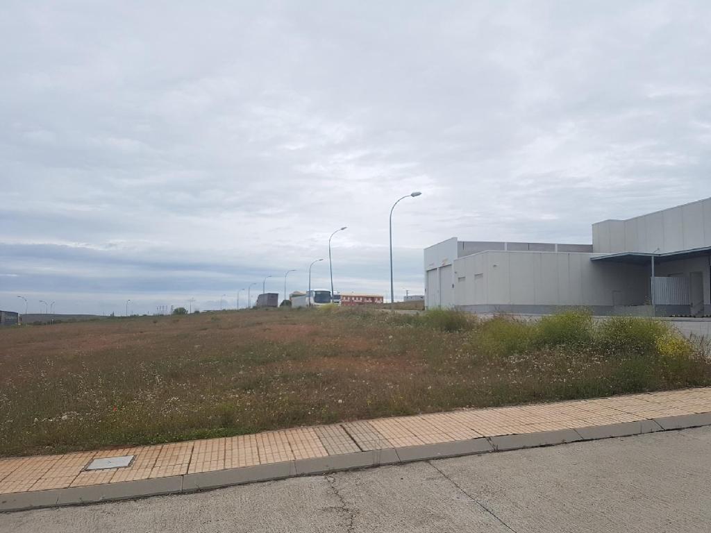 Do&ntilde;inos De Salamanca