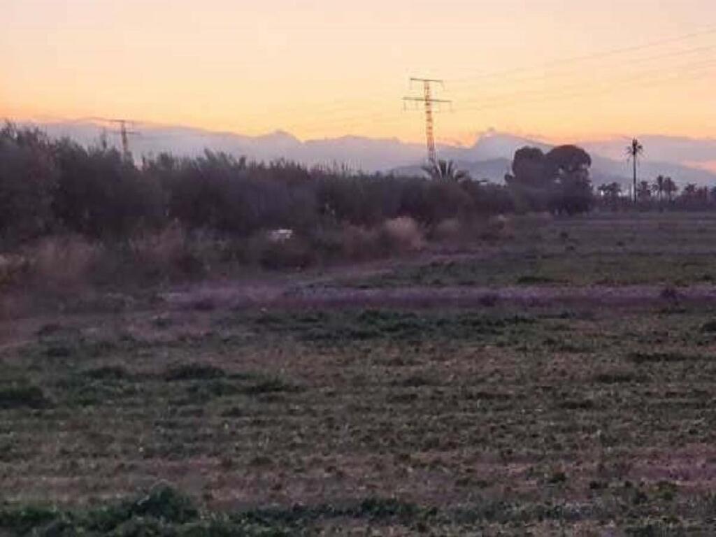 Totana