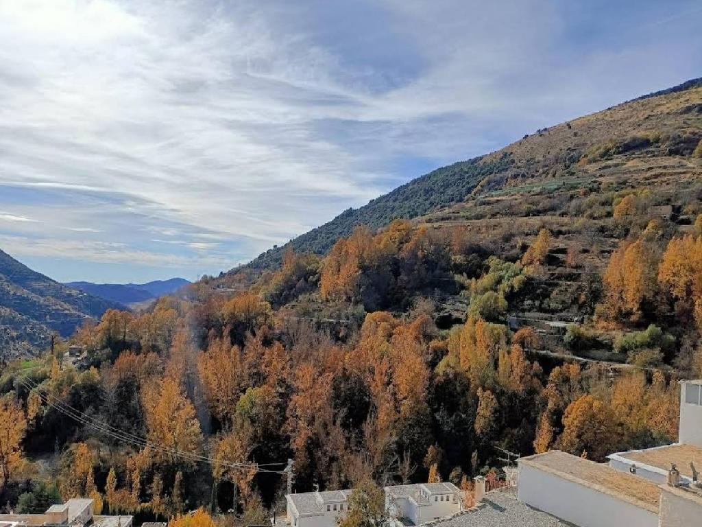 Trevelez