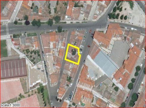 Zamora