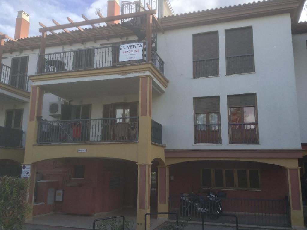 Ayamonte