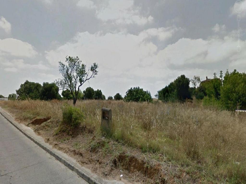Chiclana De La Frontera