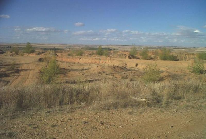 Monfarracinos