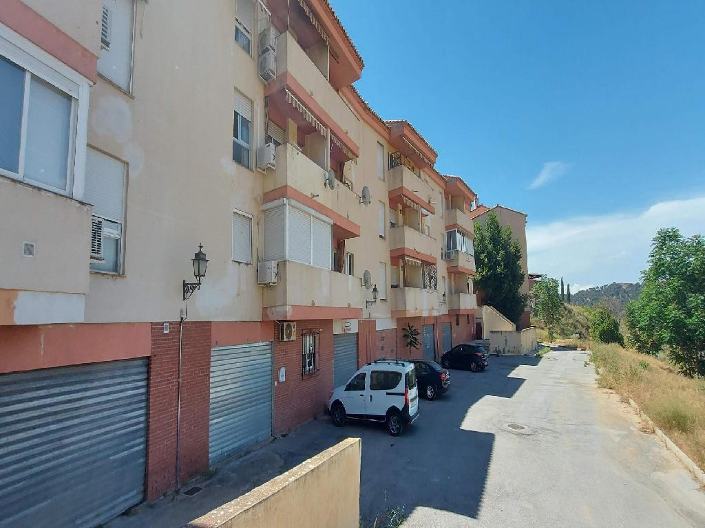 Cenes De La Vega