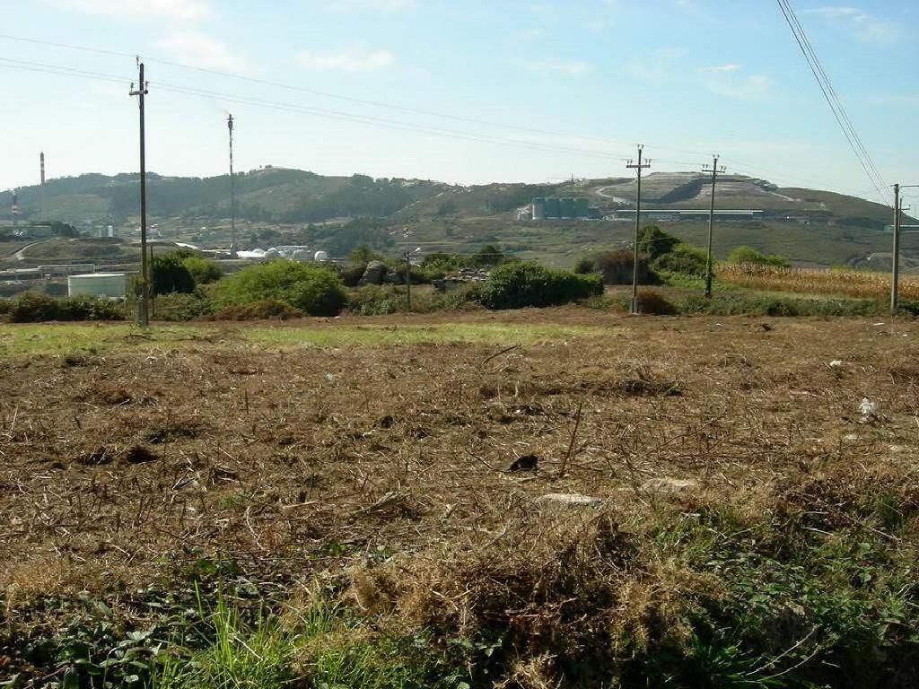 SUELO EN A CORUÑA (A Coruña)