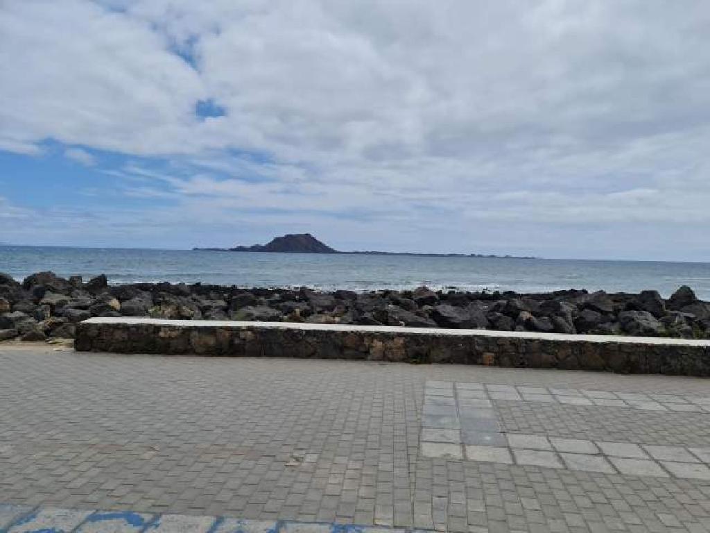 La Oliva