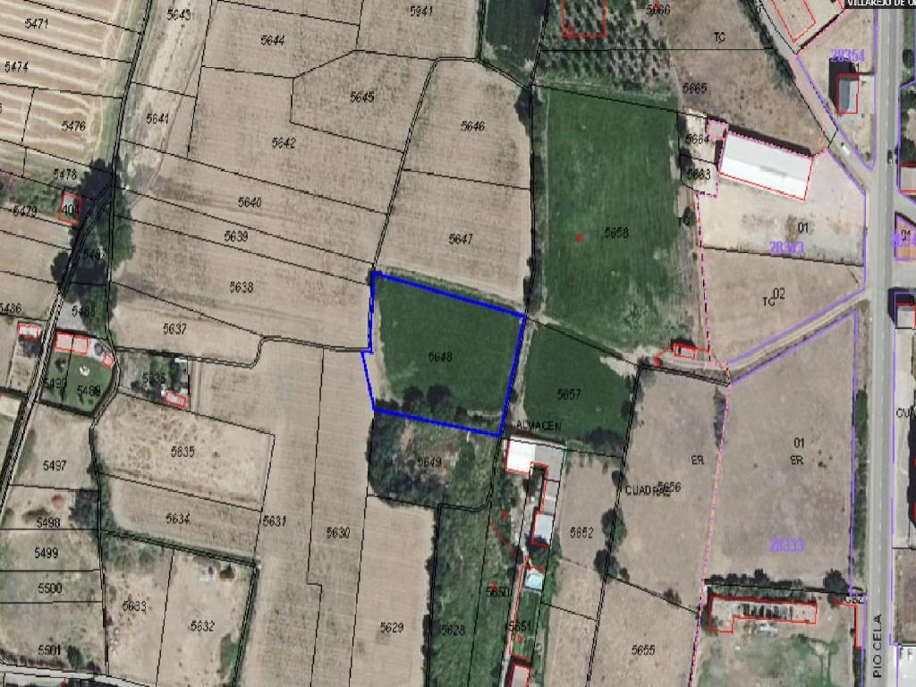 SITIO DE LA TRAVIESA (Villarejo De Orbigo)