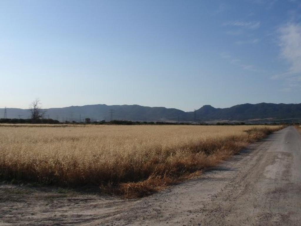En Gestión en Murcia (Ciudad)