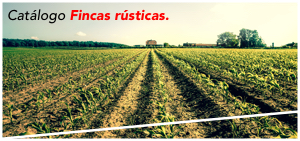Fincas R&uacute;sticas Propiedad de Sareb